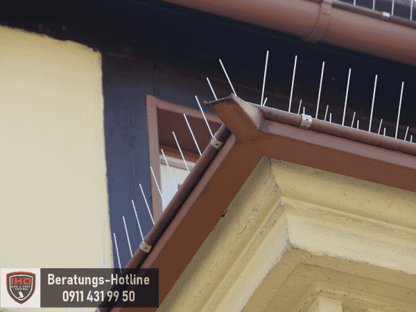 Spitzensysteme_an_der_dachrinne_montiert Spitzensysteme_an_der_dachrinne_montiert