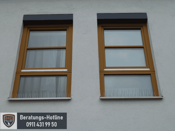 spitzensystem_am_Fensterbrett spitzensystem_am_Fensterbrett